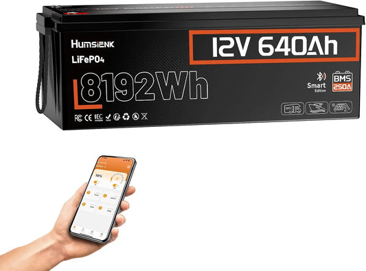 Humsienk batterie rechargeable LiFePO4, avec connexion Bluetooth