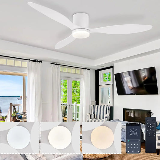 ventilateur de plafond, à fonctionnement silencieux, avec minuterie